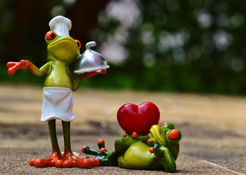 African-inspired fusion cuisine